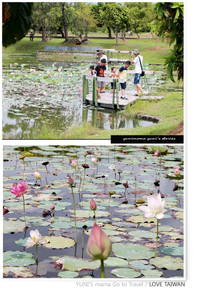 台東VS.綠島} D2-1│台東森林公園鴛鴦湖.豐源國小 - 第22張圖 台東VS.綠島} D2-1│台東森林公園鴛鴦湖.豐源國小