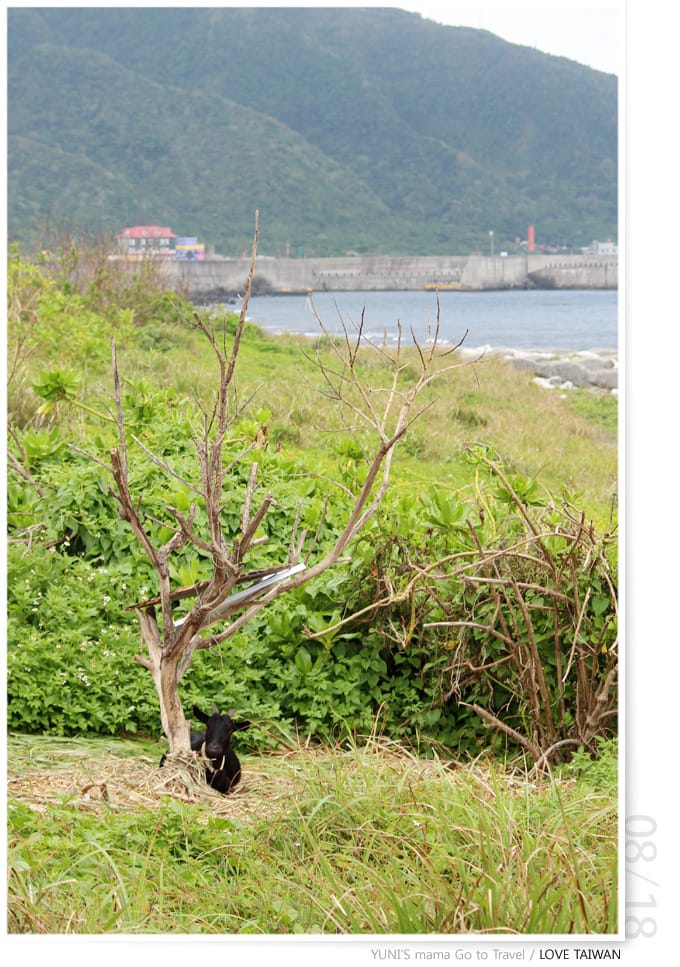 綠島} D3-2│哈巴狗與睡美人。觀音洞。小長城。監獄