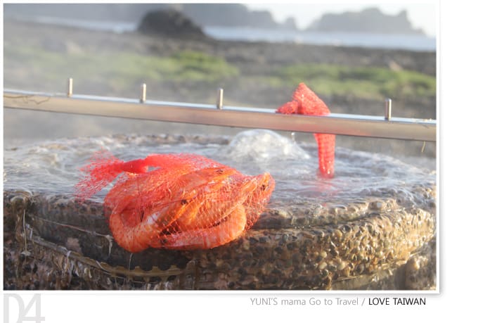 綠島} D4│朝日溫泉,美麗的河堤海岸 - 第18張圖 綠島} D4│朝日溫泉,美麗的河堤海岸