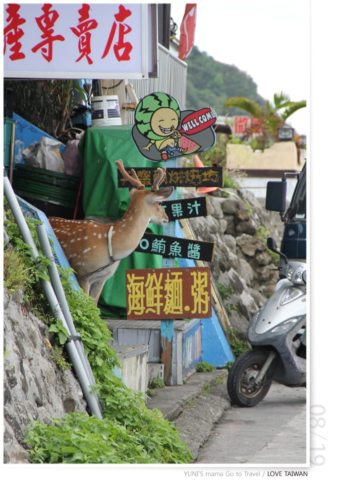 綠島} D4│朝日溫泉,美麗的河堤海岸 - 第50張圖 綠島} D4│朝日溫泉,美麗的河堤海岸