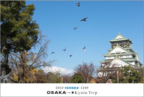 D2 : 大阪城天守閣