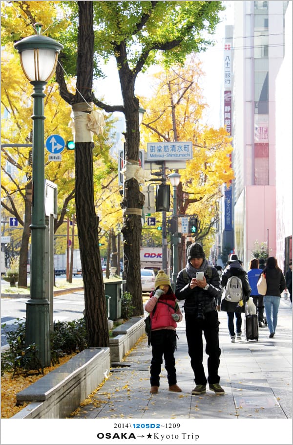 D2 : 大阪城天守閣