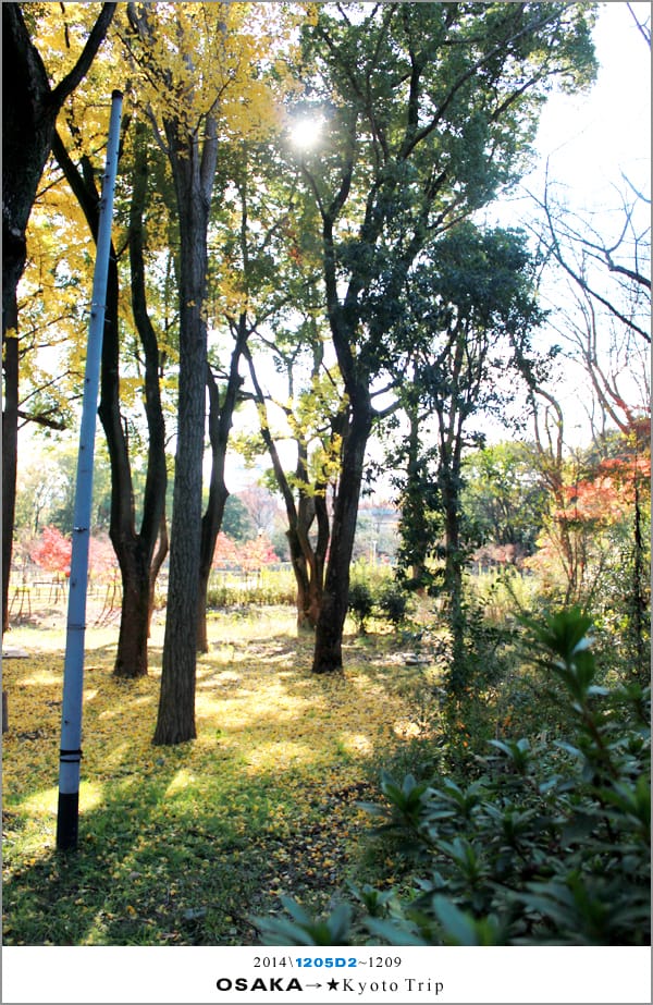 D2 : 大阪城天守閣
