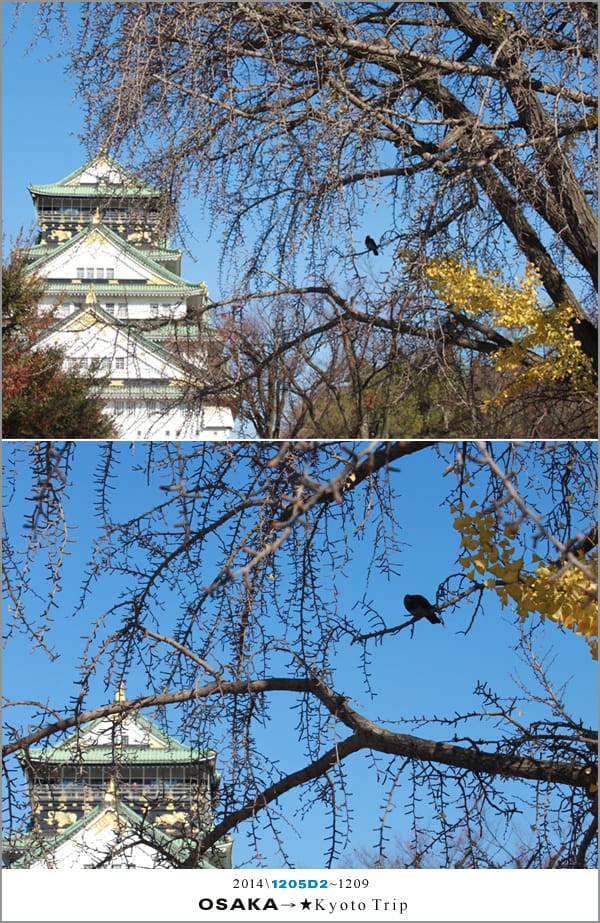 D2 : 大阪城天守閣