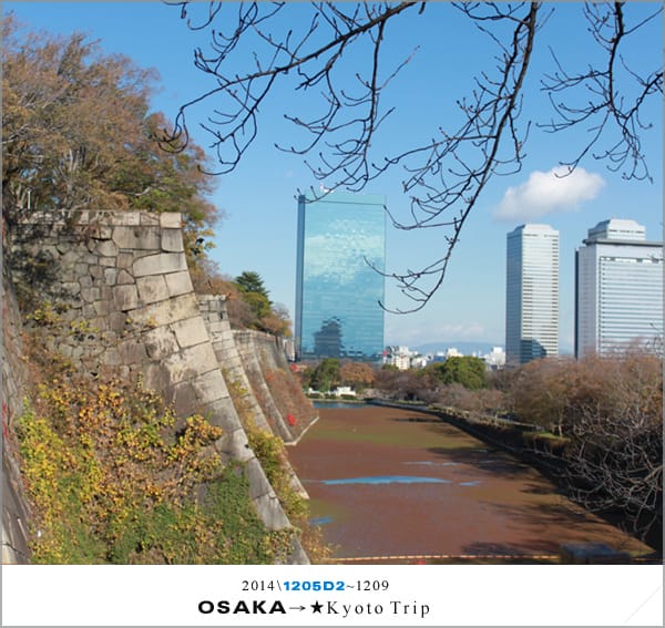 D2 : 大阪城天守閣