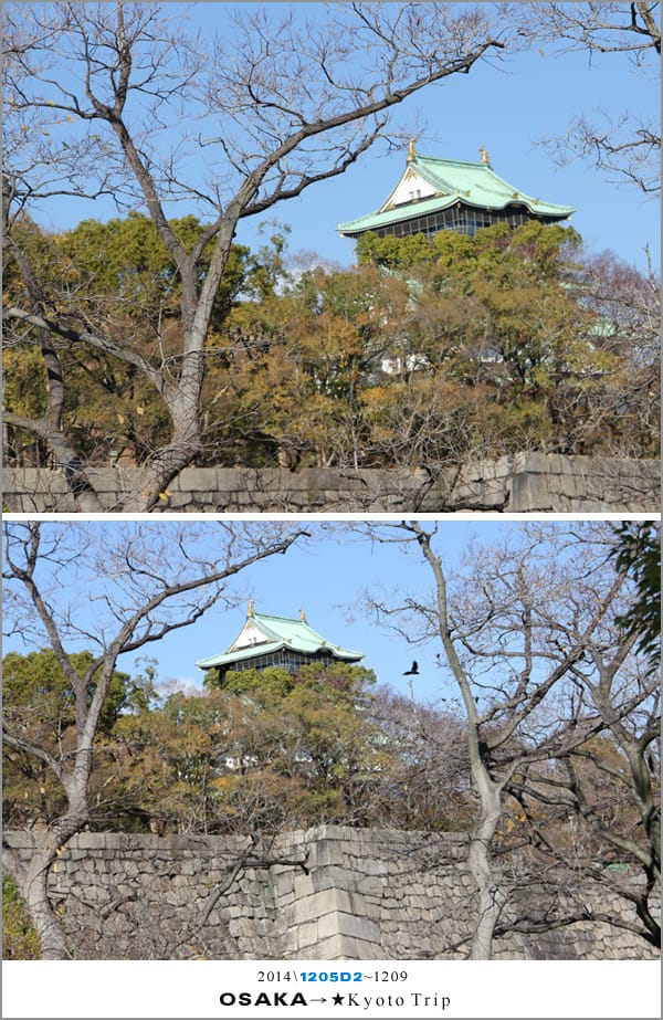 D2 : 大阪城天守閣