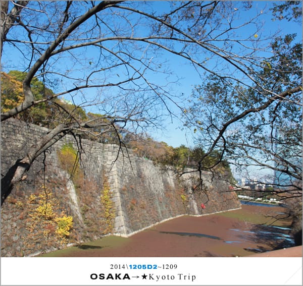 D2 : 大阪城天守閣