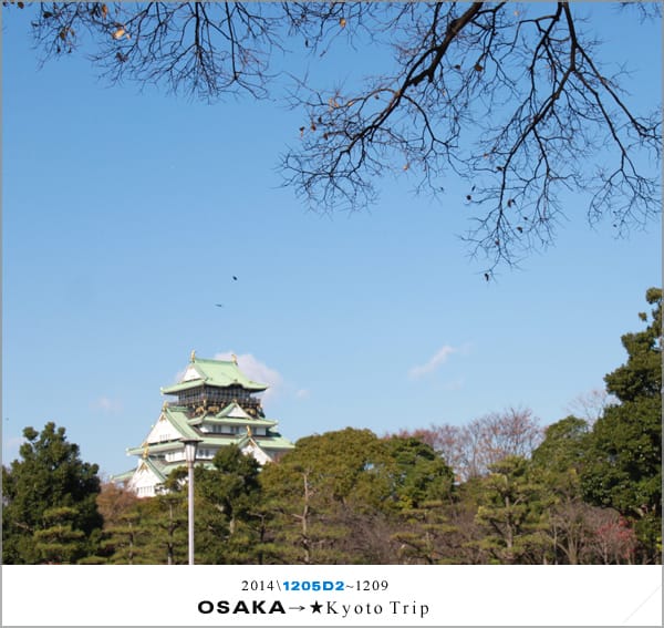 D2 : 大阪城天守閣