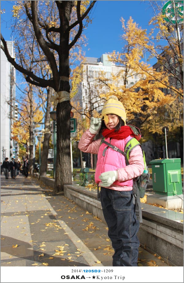 D2 : 大阪城天守閣