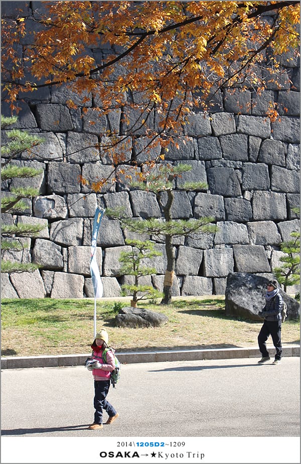 D2 : 大阪城天守閣