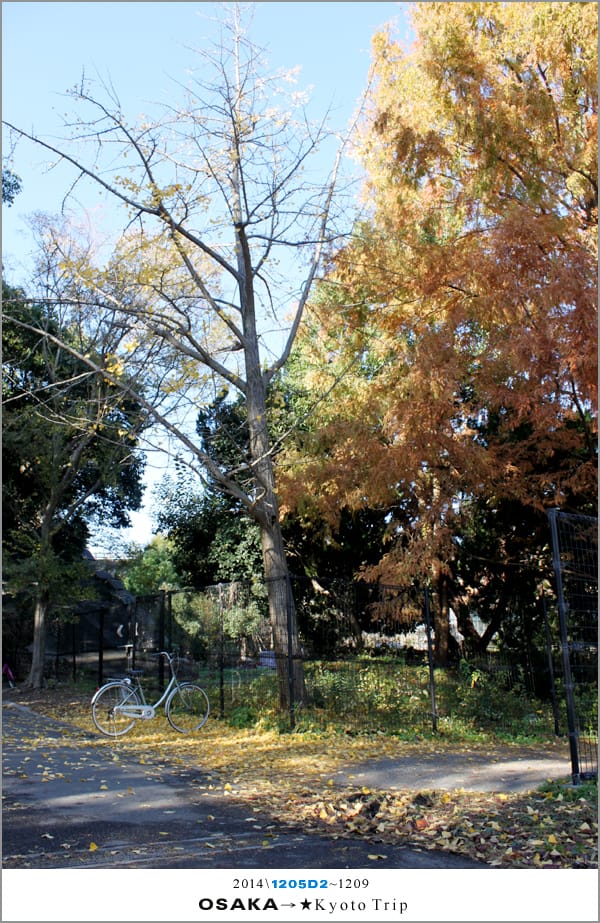 D2 : 大阪城天守閣