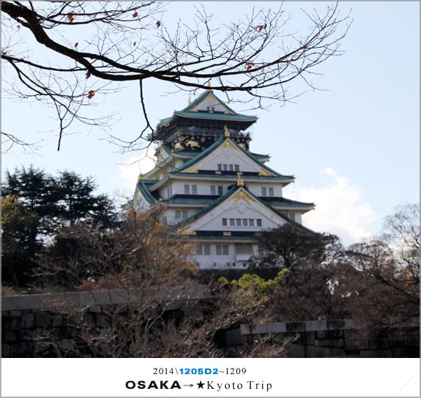 D2 : 大阪城天守閣