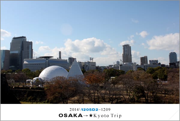 D2 : 大阪城天守閣