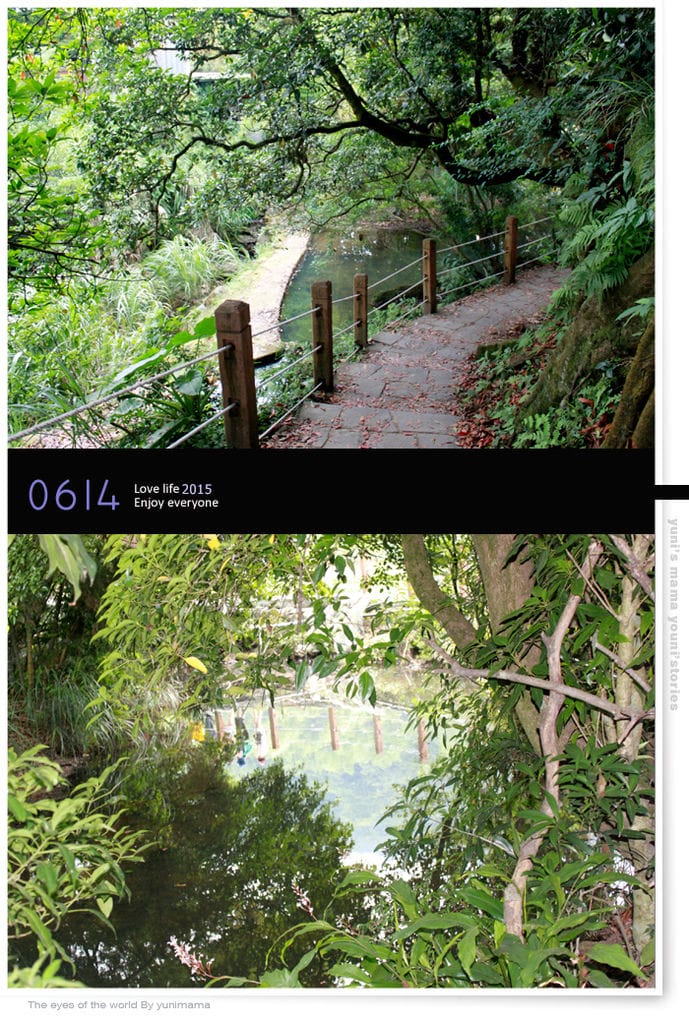 陽明山:水車寮步道│繡球花團的繽紛世界 - 第10張圖 陽明山:水車寮步道│繡球花團的繽紛世界
