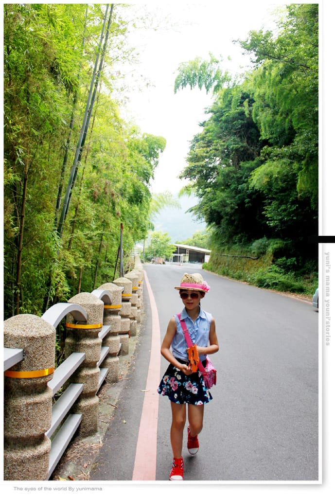 陽明山:水車寮步道│繡球花團的繽紛世界 - 第4張圖 陽明山:水車寮步道│繡球花團的繽紛世界