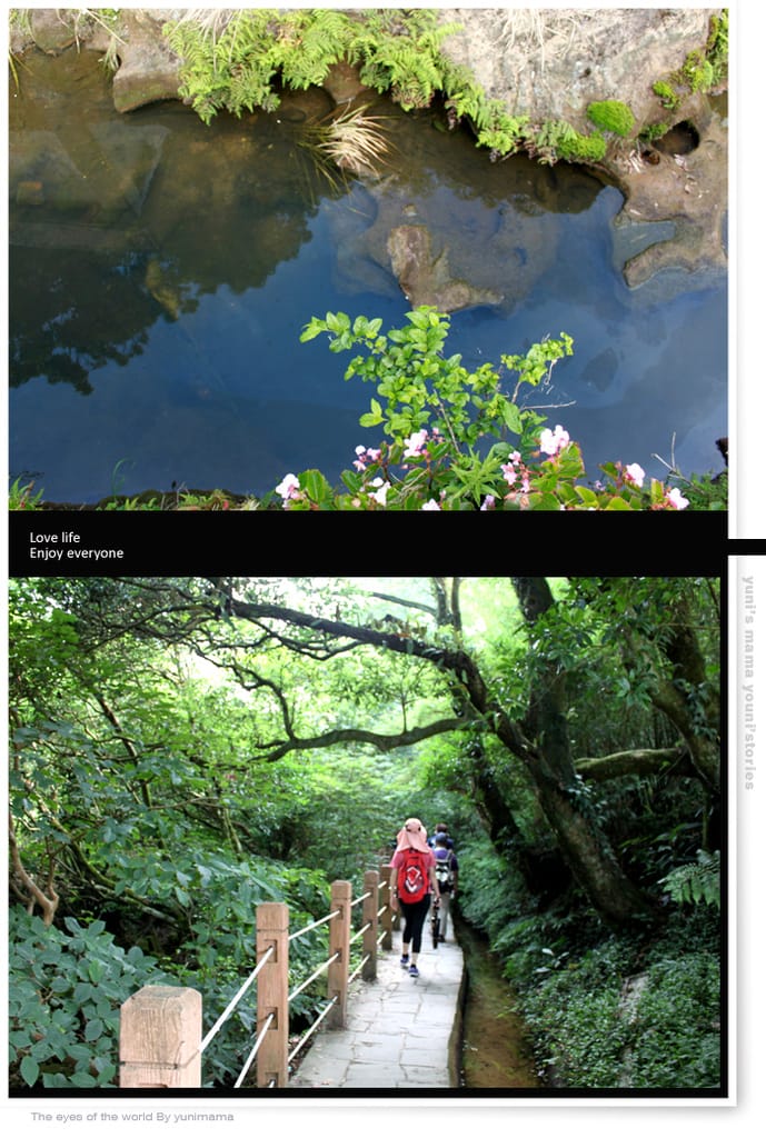 陽明山:水車寮步道│繡球花團的繽紛世界 - 第11張圖 陽明山:水車寮步道│繡球花團的繽紛世界