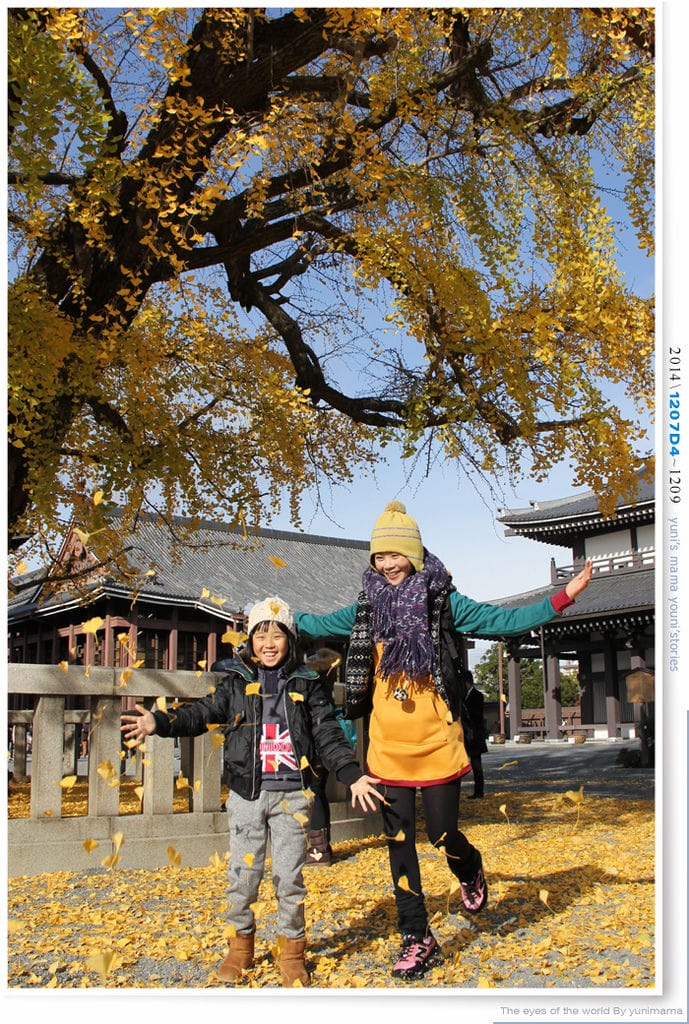 【婗媽看世界】D4:西本願寺│金黃耀眼的銀杏~溫暖了大小殿堂。 - 第39張圖 【婗媽看世界】D4:西本願寺│金黃耀眼的銀杏~溫暖了大小殿堂。