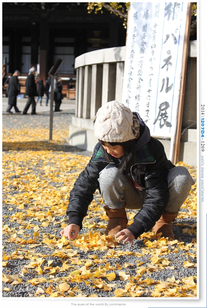 【婗媽看世界】D4:西本願寺│金黃耀眼的銀杏~溫暖了大小殿堂。 - 第14張圖 【婗媽看世界】D4:西本願寺│金黃耀眼的銀杏~溫暖了大小殿堂。
