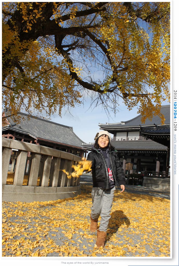 【婗媽看世界】D4:西本願寺│金黃耀眼的銀杏~溫暖了大小殿堂。 - 第10張圖 【婗媽看世界】D4:西本願寺│金黃耀眼的銀杏~溫暖了大小殿堂。