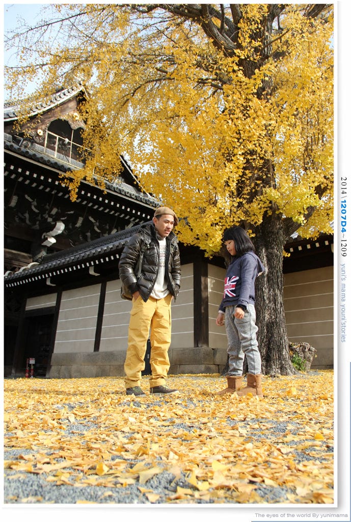 【婗媽看世界】D4:西本願寺│金黃耀眼的銀杏~溫暖了大小殿堂。 - 第52張圖 【婗媽看世界】D4:西本願寺│金黃耀眼的銀杏~溫暖了大小殿堂。