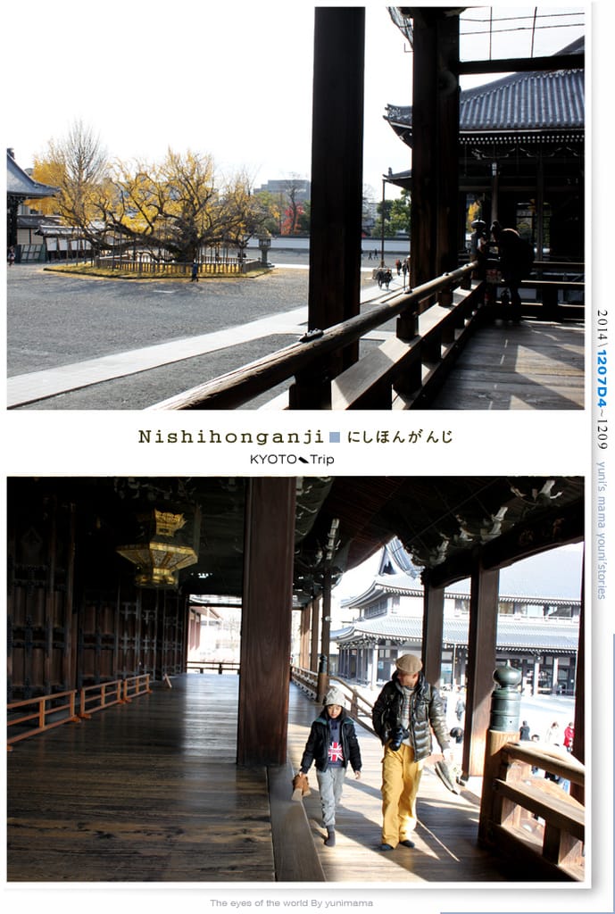 【婗媽看世界】D4:西本願寺│金黃耀眼的銀杏~溫暖了大小殿堂。 - 第26張圖 【婗媽看世界】D4:西本願寺│金黃耀眼的銀杏~溫暖了大小殿堂。