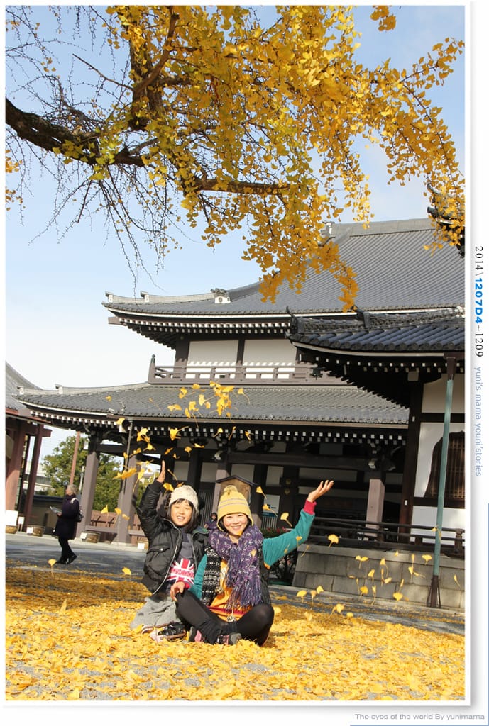 【婗媽看世界】D4:西本願寺│金黃耀眼的銀杏~溫暖了大小殿堂。 - 第42張圖 【婗媽看世界】D4:西本願寺│金黃耀眼的銀杏~溫暖了大小殿堂。