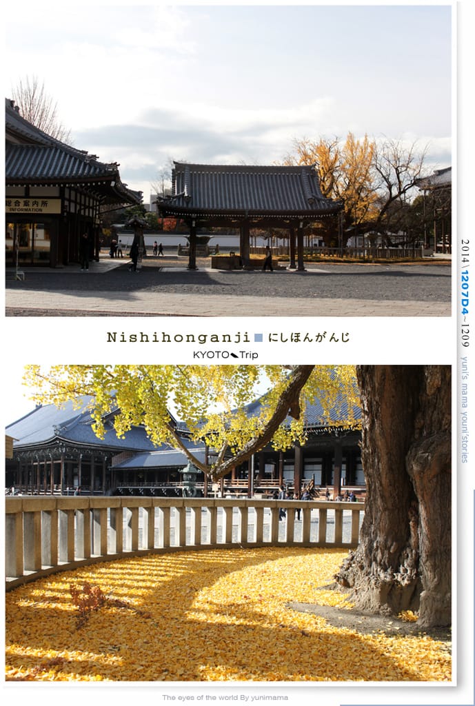 【婗媽看世界】D4:西本願寺│金黃耀眼的銀杏~溫暖了大小殿堂。 - 第7張圖 【婗媽看世界】D4:西本願寺│金黃耀眼的銀杏~溫暖了大小殿堂。