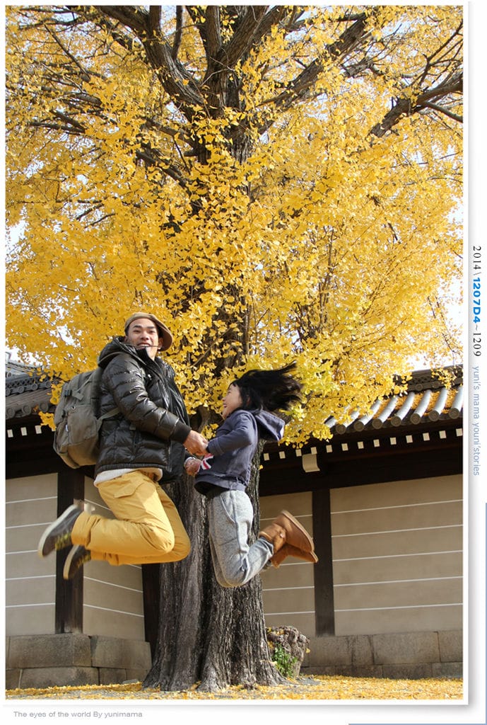 【婗媽看世界】D4:西本願寺│金黃耀眼的銀杏~溫暖了大小殿堂。 - 第55張圖 【婗媽看世界】D4:西本願寺│金黃耀眼的銀杏~溫暖了大小殿堂。