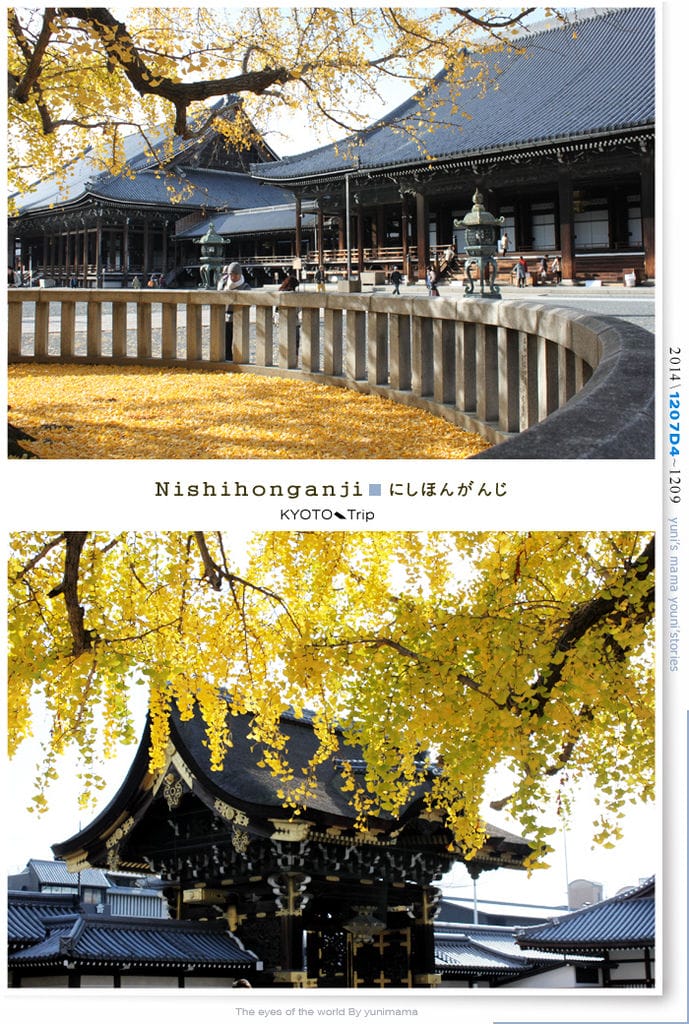 【婗媽看世界】D4:西本願寺│金黃耀眼的銀杏~溫暖了大小殿堂。 - 第19張圖 【婗媽看世界】D4:西本願寺│金黃耀眼的銀杏~溫暖了大小殿堂。