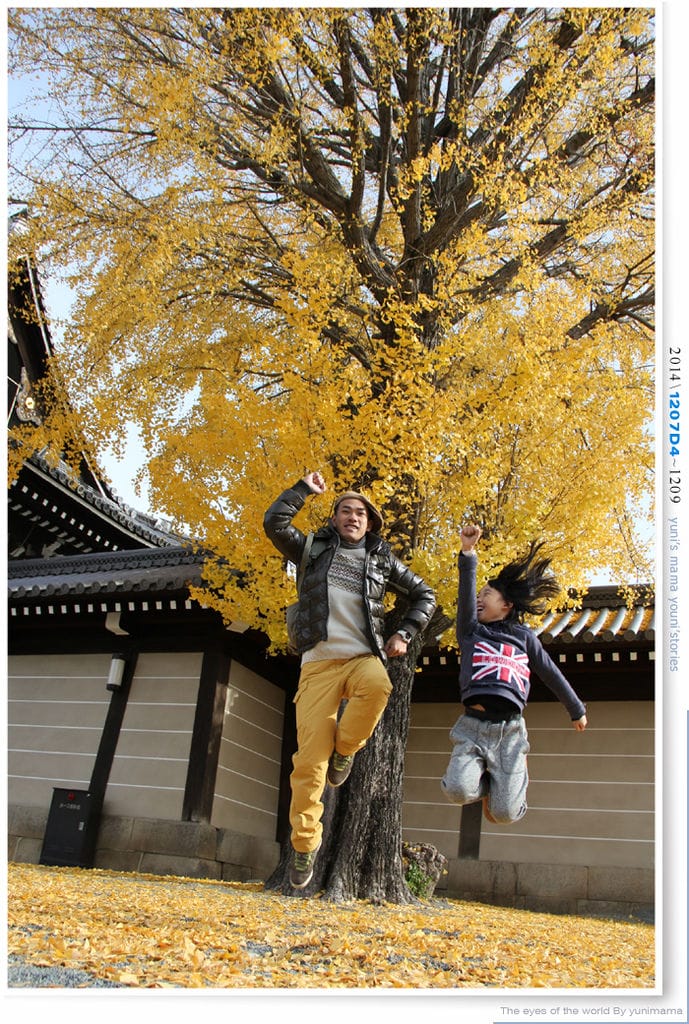 【婗媽看世界】D4:西本願寺│金黃耀眼的銀杏~溫暖了大小殿堂。 - 第53張圖 【婗媽看世界】D4:西本願寺│金黃耀眼的銀杏~溫暖了大小殿堂。