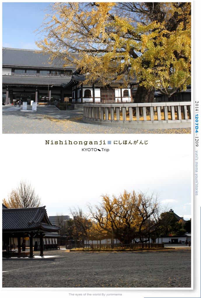 【婗媽看世界】D4:西本願寺│金黃耀眼的銀杏~溫暖了大小殿堂。 - 第23張圖 【婗媽看世界】D4:西本願寺│金黃耀眼的銀杏~溫暖了大小殿堂。