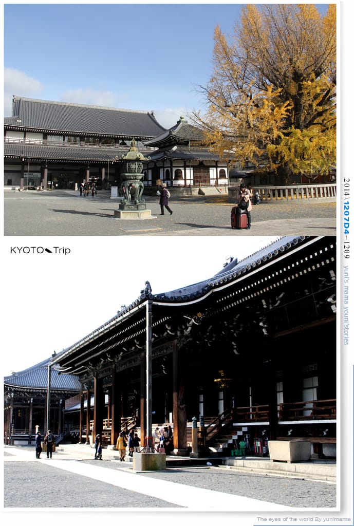 【婗媽看世界】D4:西本願寺│金黃耀眼的銀杏~溫暖了大小殿堂。 - 第37張圖 【婗媽看世界】D4:西本願寺│金黃耀眼的銀杏~溫暖了大小殿堂。
