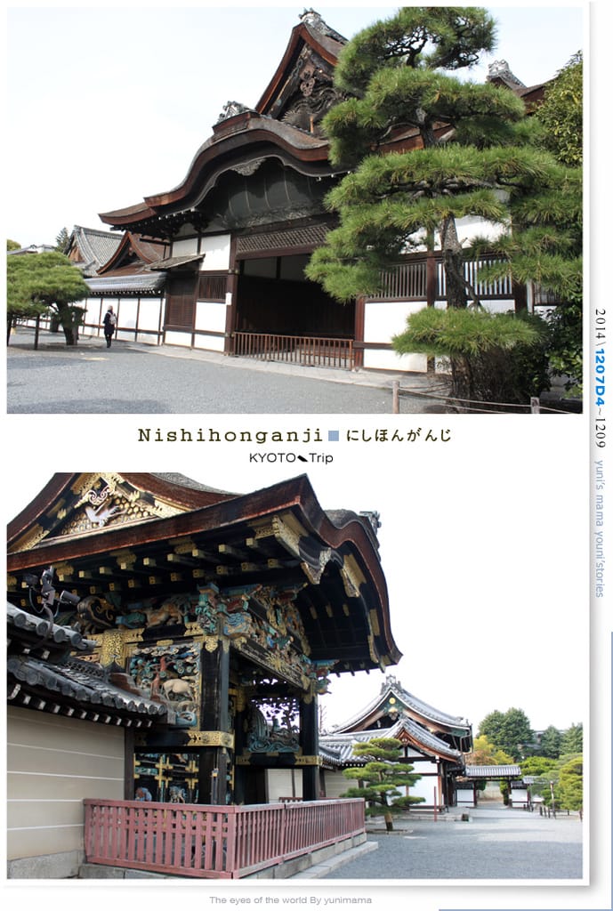 【婗媽看世界】D4:西本願寺│金黃耀眼的銀杏~溫暖了大小殿堂。 - 第57張圖 【婗媽看世界】D4:西本願寺│金黃耀眼的銀杏~溫暖了大小殿堂。