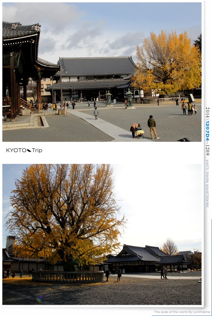 【婗媽看世界】D4:西本願寺│金黃耀眼的銀杏~溫暖了大小殿堂。 - 第36張圖 【婗媽看世界】D4:西本願寺│金黃耀眼的銀杏~溫暖了大小殿堂。