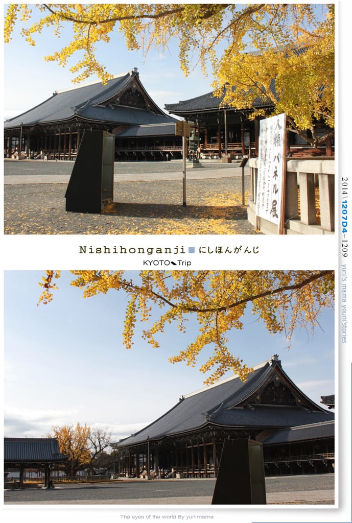 【婗媽看世界】D4:西本願寺│金黃耀眼的銀杏~溫暖了大小殿堂。 - 第2張圖 【婗媽看世界】D4:西本願寺│金黃耀眼的銀杏~溫暖了大小殿堂。
