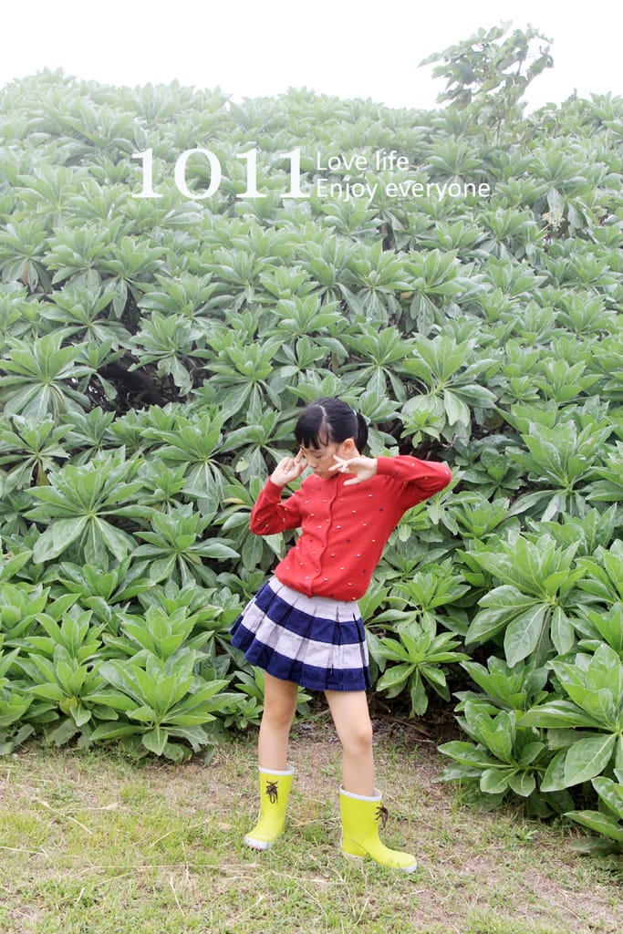 :::花蓮:::七星潭。清水斷崖 - 第22張圖 :::花蓮:::七星潭。清水斷崖