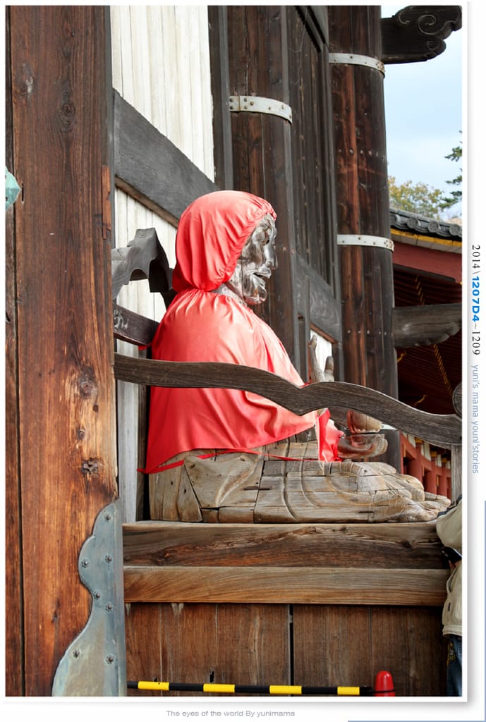 【婗媽看世界】D4：東大寺│彷彿進入驚聲尖叫片場的鹿世界~奈良