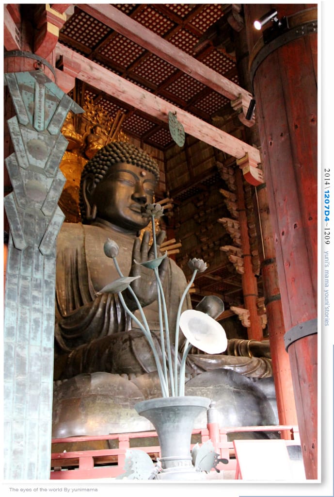 【婗媽看世界】D4：東大寺│彷彿進入驚聲尖叫片場的鹿世界~奈良