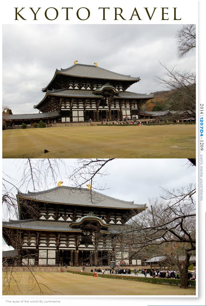 【婗媽看世界】D4：東大寺│彷彿進入驚聲尖叫片場的鹿世界~奈良
