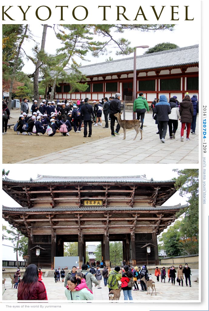 【婗媽看世界】D4：東大寺│彷彿進入驚聲尖叫片場的鹿世界~奈良