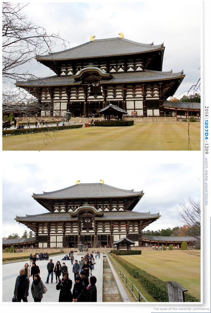 【婗媽看世界】D4：東大寺│彷彿進入驚聲尖叫片場的鹿世界~奈良