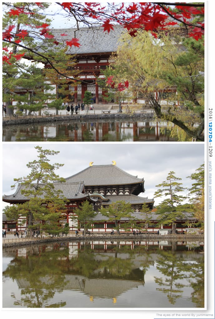 【婗媽看世界】D4：東大寺│彷彿進入驚聲尖叫片場的鹿世界~奈良