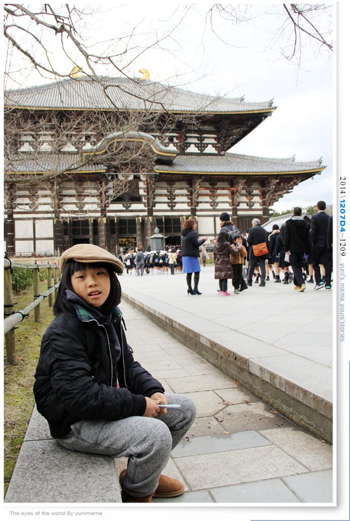 【婗媽看世界】D4：東大寺│彷彿進入驚聲尖叫片場的鹿世界~奈良