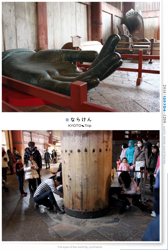 【婗媽看世界】D4：東大寺│彷彿進入驚聲尖叫片場的鹿世界~奈良