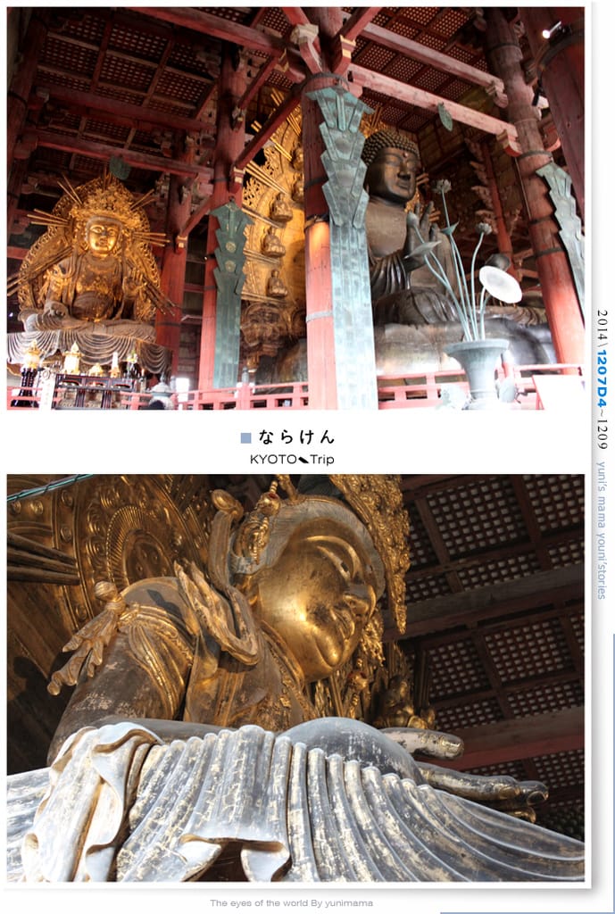 【婗媽看世界】D4：東大寺│彷彿進入驚聲尖叫片場的鹿世界~奈良