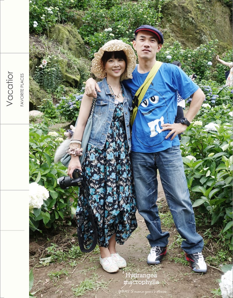繡球花季:陽明山│水車寮步道 - 第27張圖 繡球花季:陽明山│水車寮步道