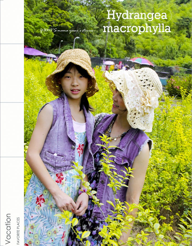 繡球花季:陽明山│水車寮步道 - 第7張圖 繡球花季:陽明山│水車寮步道