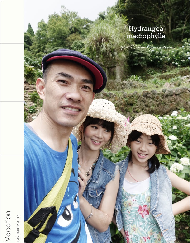 繡球花季:陽明山│水車寮步道 - 第26張圖 繡球花季:陽明山│水車寮步道