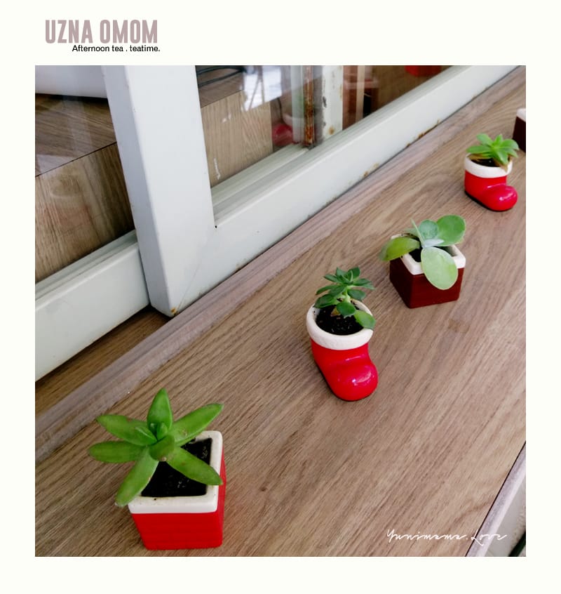 UZNA OMOM 杏桃鬆餅屋 - 第11張圖 UZNA OMOM 杏桃鬆餅屋
