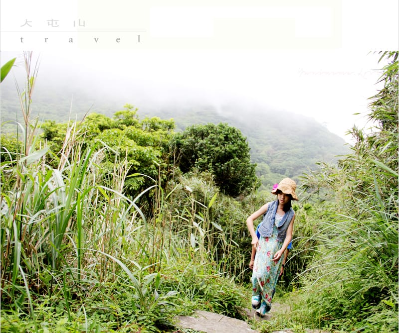陽明山美麗的步道│大屯山主峰:連峰步道 - 第12張圖 陽明山美麗的步道│大屯山主峰:連峰步道